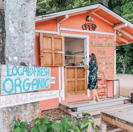 Cute and quaint little cottage on a homestead.