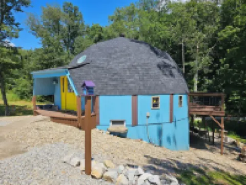 Birdhouse Paradise