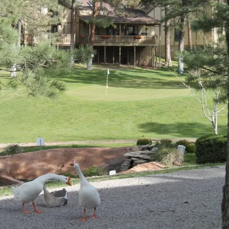 Relax and Golf, Play Tennis, Swim, Ski and make memories! Отели рядом с достопримечательностью «Moon Mountain»