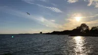Gemütliche Ferienwohnung mit Blick auf den Yachthafen in Top-lage!