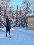 Quiet and Cozy getaway cabin in Hatcher Pass, Alaska; 15 min. from Palmer!