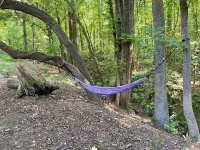 Sticks & Twine great cabin on a working farm on Paris Mountain close to it all