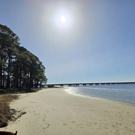 Hideaway Beach Cottage on waterfront with amazing views.