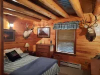 Beautiful 3 bedroom adirondack log cabin