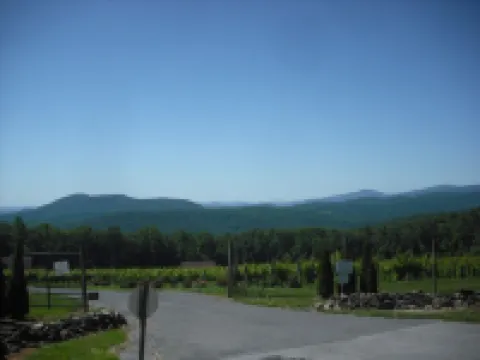 Blue Mountain Cabin, secluded, perfect for couples, near main road