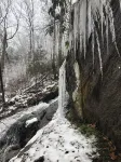 PRIVATE 150FT WATERFALL RIGHT OFF DECK! Rustic, Asian inspired.