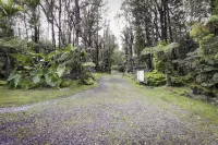 COZY HIDEAWAY IN THE OHIA RAINFOREST LOCATED BELOW VOLCANO NATIONAL PARK