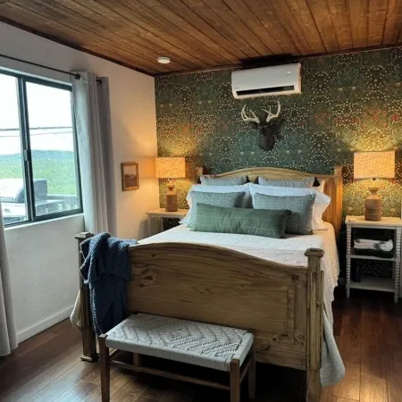 Cozy Cabin in the Pines with Views!