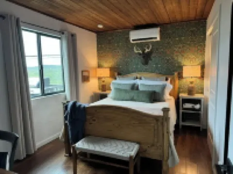 Cozy Cabin in the Pines with Views!