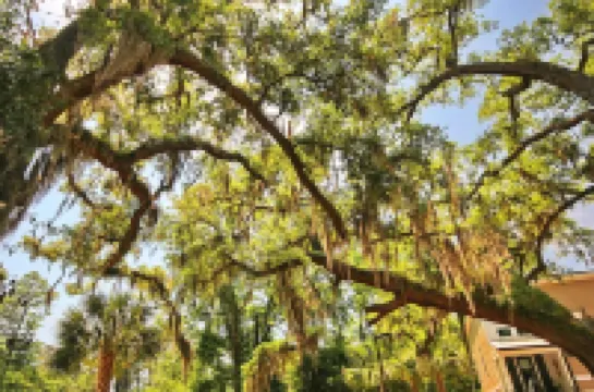 2 bedroom 2 bath Modern Luxury Townhome near Marshwalk