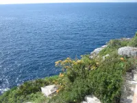 Rent apartment with pool in natural setting