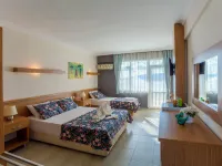 NİNA Resort Otel Hotels in Burhaniye