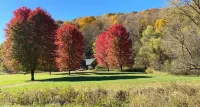 Cabin in Beautiful Timber Coulee