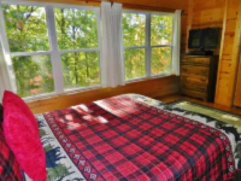 Wi-Fi PRIVATE Cabin in town Black Mountain Montreat FAST to Asheville WOODS