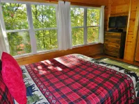 Wi-Fi PRIVATE Cabin in town Black Mountain Montreat FAST to Asheville WOODS