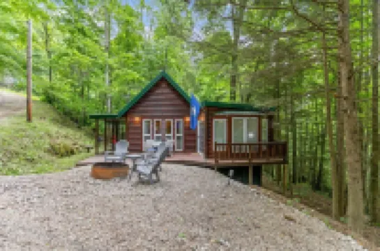 Fern Gulley Cabin with Hot Tub, Pet Friendly,  near DBBB / Hollerwood