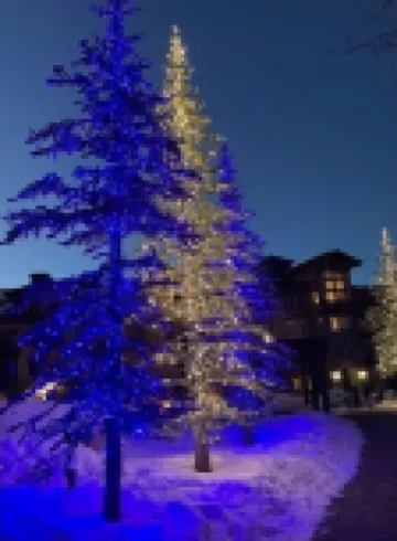 Cozy Ski in/out Solitude Resort