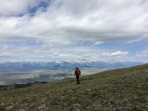 Bright, Modern Loft. 5 Miles to Ski Resort, National Park, or Downtown Jackson Hotels in Wilson