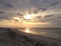 Stylish modern beach view unit, w/ Bch & Pool, dog friendly!