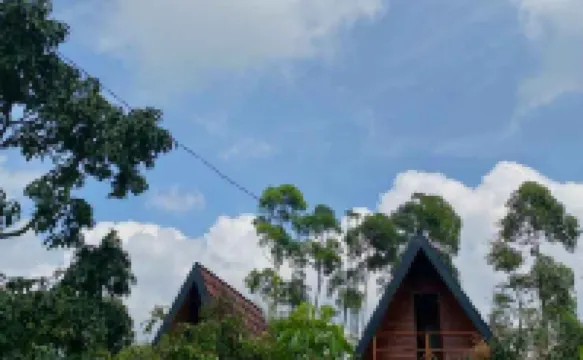 Wind's Cabin