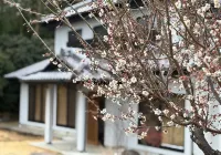 Yomoyado a Whole House Rental in Hokuto City Y Các khách sạn ở Nirasaki