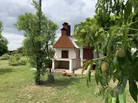The Green Home