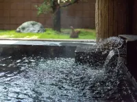 호텔 몬테로사 가미카와 간자키 군 호텔