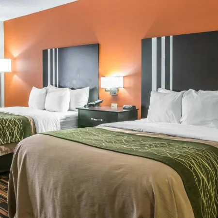 Comfort Inn Maumee - Perrysburg Area