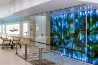 Grand Hotel Pomorie - Medical Spa - spa