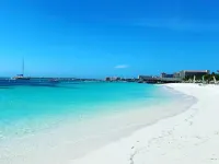 Movida Inn Aruba Hotels in Palm Beach