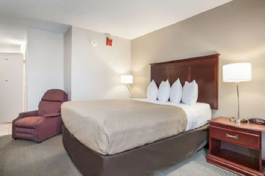 克拉麗奧酒店及套房-機場