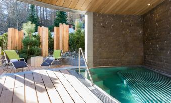 The Alpina Mountain Resort