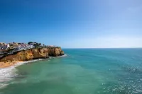 99B 히비스커스 몬테 도우라도