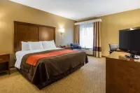 Comfort Inn & Suites Hotels in Dalton