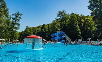 Hotel Toplice - Terme Krka