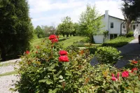 Peace of Paradise 2 Bedroom Home by RedAwning