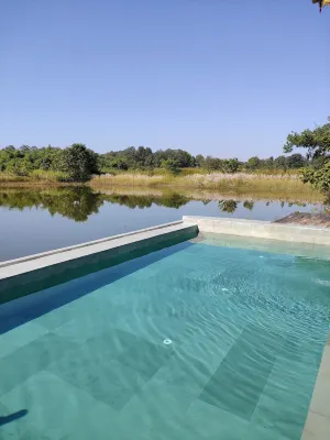 Saccharum Safari Lodge