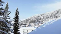 Black Summit Boutique Resort Laax - 山景