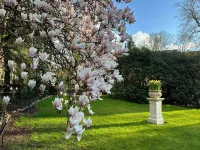 Hotel Rosengarten Hotels in Ahrensburg