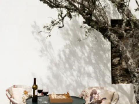 Casa do Santo - Wine & Tourism Hotels in Sabrosa