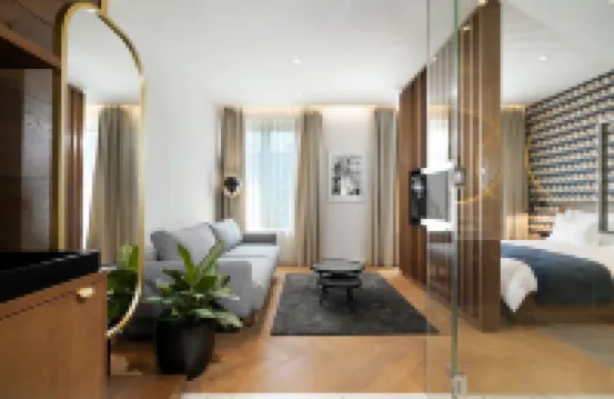 Dominic Smart & Luxury Suites - Edition