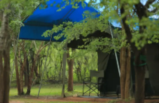 Big Game - Wilpattu by Eco Team