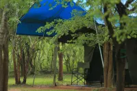 Big Game - Wilpattu by Eco Team Hotels in Галкадавала