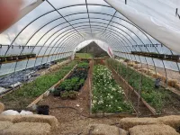 Relaxing Pool Area and Scenic Sunsets - Charming Farm Stay Hotels in Darnestown