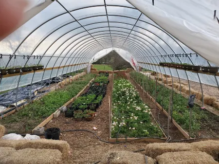 Charming Retreat - Near River, State Park, Shops