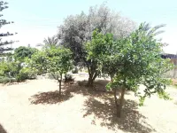Stalis Drops - Homestays