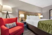 Comfort Inn & Suites Liverpool - Syracuse North Hotels in Salina