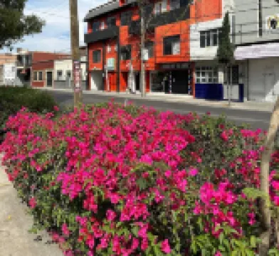 波薩達花園酒店阿瓜斯卡連特斯