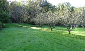 Les Gites de Pétrocoriis