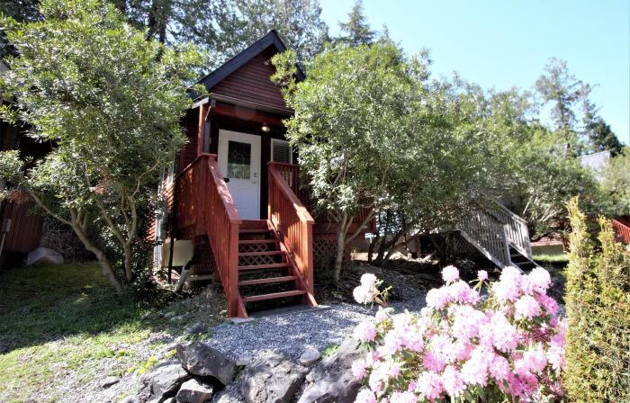 Cozy Cabin Near Walking Trails and Beaches!